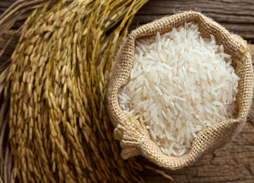 🍚 ثبت برند برنج بدون این شرایط امکان پذیر نمی‌باشد!